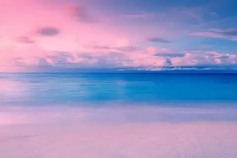 为什么篮球教练的经验很重要_0